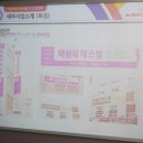 맥섬석 에스필 이미지