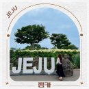 신호등카써비스 | 제주도 렌트카 가격비교 사이트 찜카 추천