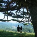 동강 한국일보