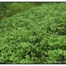 황악산푸드 이미지