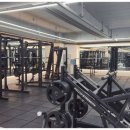 그릿 피트니스 이미지