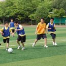 반딧불독서실 이미지