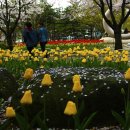 연지공원1 이미지