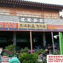 문학동항아리화분