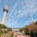 토이랜드 | 이월드2025일루미네이션/ 토이랜드캐롤셀러브레이션, 비비포포의크리스마스모먼트, 라라의미라클포토...