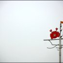 소래로(풍림아파트 앞) 이미지