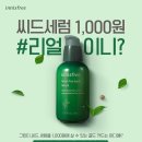 씨드시