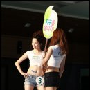 에코 코리아 이미지