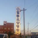 일등요양병원 네이버블로그
