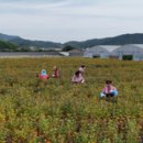 꽃가마화장품 이미지