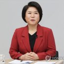민주 "국힘 서초갑 조은희, 재산신고 누락·허위표기 의혹" 이미지