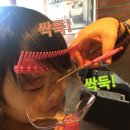 빗과머리결