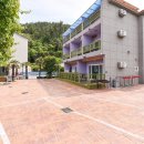 라비 앤 로즈 이미지