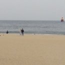 황소-유토피아 이미지