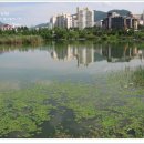 호암공원생태전시관 이미지