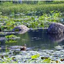 애화공원 이미지