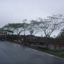 솔오름주차장 이미지