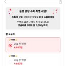 소리나팔꽃 | 올웨이즈 올팜 고구마 후기