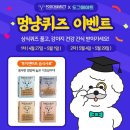 도그먼트 이미지