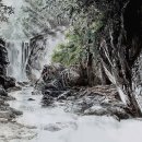 지헌 Daum카페