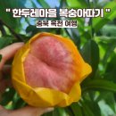 한두레마을 이미지