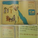 나일미용실 이미지