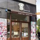 빵들의수다 - 동대문구 | 화성 봉담 베이커리 카페 오늘도오솝 :: 소금빵 라즈베리초코갸또 고구마빵 내돈내산 후기
