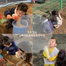 섶마리농촌체험휴양마을 이미지