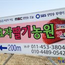 효자농장 이미지