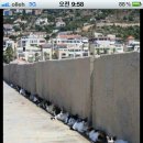 용용이네 이미지