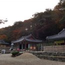 장금이 펜션 이미지