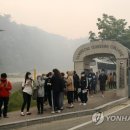 강릉우리집 이미지