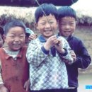 진달래먹고물장구치고 이미지