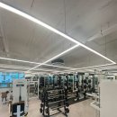 더 보스짐 이미지