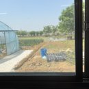 꼬마네식당 이미지