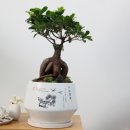 채움소아청소년과의원 이미지