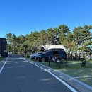 대왕암공원안쪽화장실 이미지