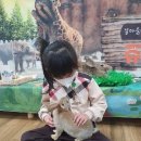 진해유치원 이미지