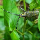 봉화여관 이미지