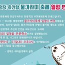 영덕 물가자미 축제 네이버블로그
