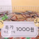 문산동물병원 - 파주시 문향로 35 | 문산동물병원