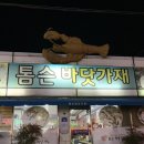 [광양] 중마동 톰슨바닷가재