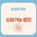 인셀덤스타일