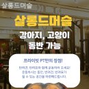 살롱드머슬 | 청담동헬스장 살롱드머슬 헬스장 추천
