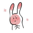소코 이미지