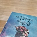 백설세탁소 이미지