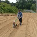 송화농장 이미지