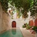 my drink museum 이미지