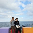 (주)제주미니버스투어서비스 | 제주도 미니버스 투어 선택 기준과 이용 후기 2박 3일 제주 여행 정보