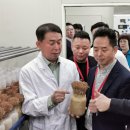 한국버섯공사